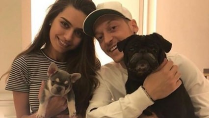 Mesut Özil juhlii morsiamensa Amine Gülşen syntymäpäivää