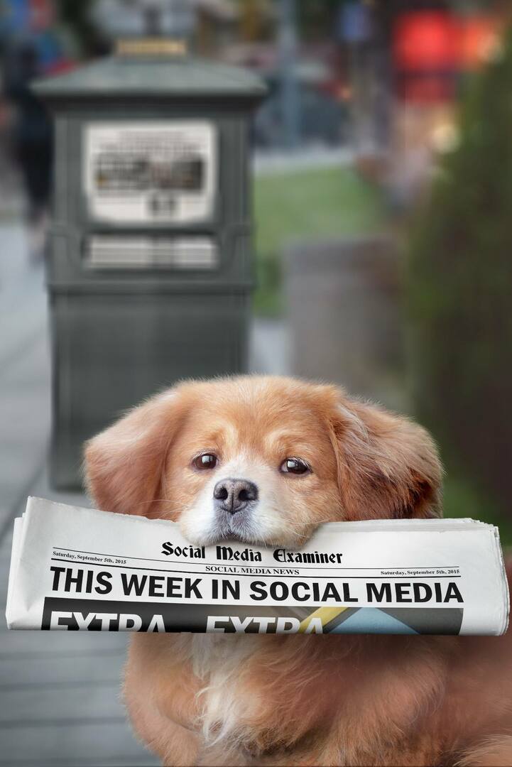 Meerkat esittelee Live Hashtagit: tällä viikolla sosiaalisessa mediassa: Social Media Examiner