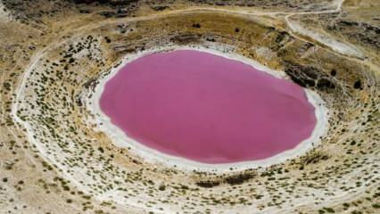 Meyil Obruk -järven väri on muuttunut vaaleanpunaiseksi!