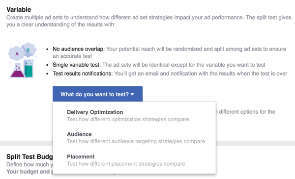 Valitse muuttuja, jonka haluat testata Facebook-mainoksellasi.