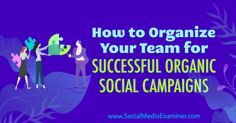 Janette Speyer sosiaalisen median tutkijasta kuinka järjestää joukkueesi onnistuneisiin orgaanisiin sosiaalisiin kampanjoihin.