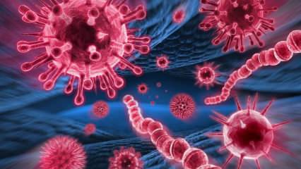 Mikä on Mers-virus? Mitkä ovat Mers-viruksen oireet? Kuinka Mers-virus tarttuu?