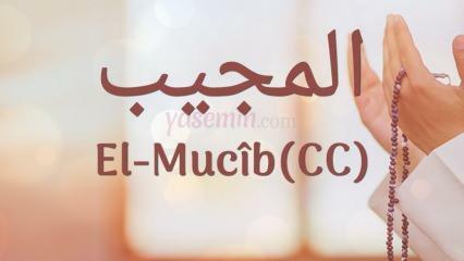 Mitä al-Mujib (c.c) tarkoittaa? Mitkä ovat nimen Al-Mujib hyveet? Esmaul Husna Al-Mujib...