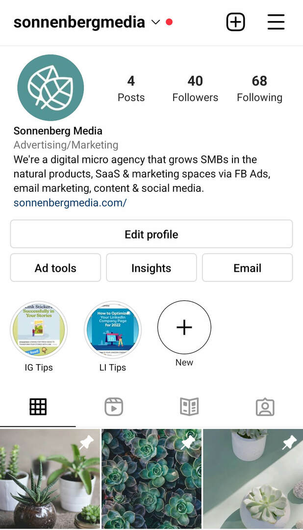 instagram-post-reels-pinning-features-sonnenbergmedia-esimerkki-1