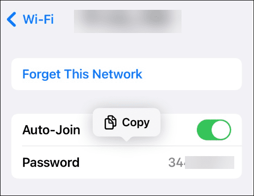 Tarkastele tallennettuja Wi-Fi-verkon salasanoja iPhonessa