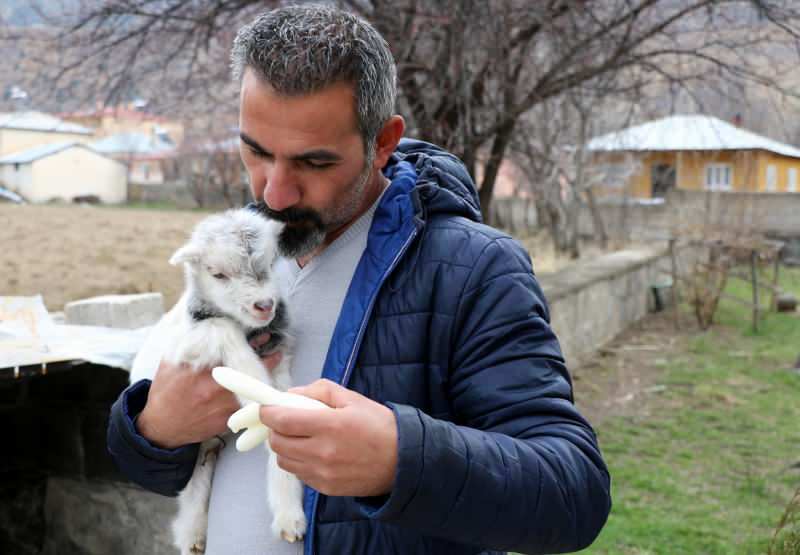 Murat Aydemir pelasti vuohenpennon hengen