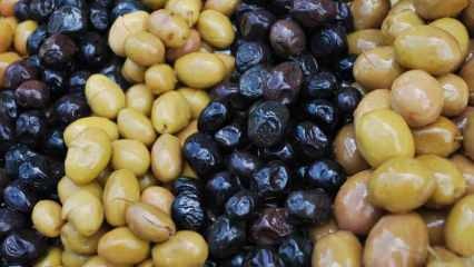 Kuinka tunnistaa väärennetyt oliivit? Kuinka oliivi saa mustan värin? Oliivin tummentamiseksi ...