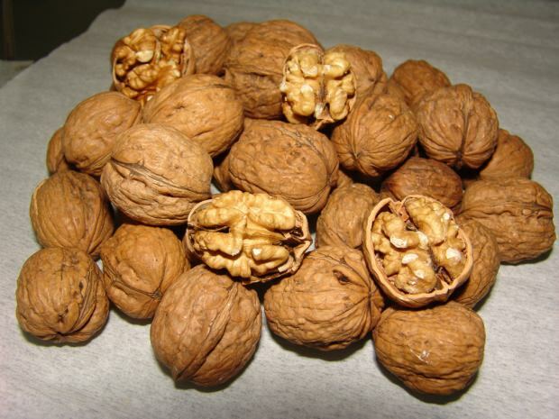 Mitä hyötyä pähkinäpuusta on? Pähkinäkulutus Canan Karataylta! Vedessä kastettu pähkinä