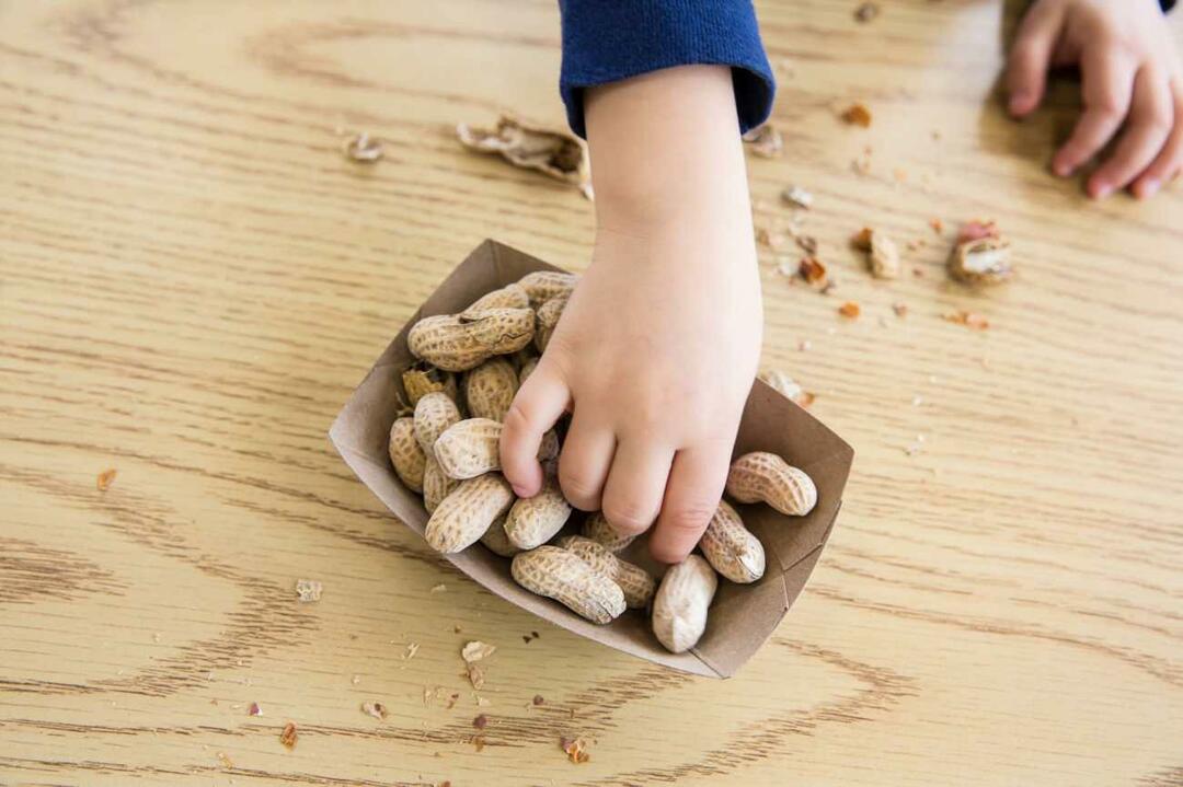 Pähkinöiden kulutus lapsilla