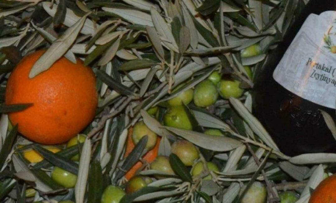 Naisyrittäjät Balıkesiristä tuottivat appelsiinioliiviöljyä!