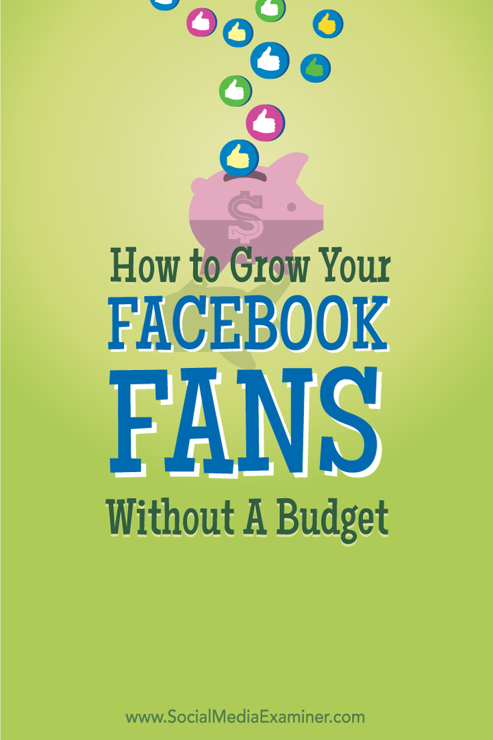 kuinka kasvattaa facebook-faneja ilman budjettia