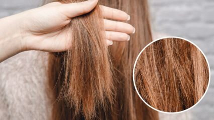 Mitä tehdään polttaville hiuksille keskeltä? Kuinka hoidetut hiukset tulisi ylläpitää?
