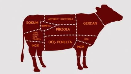 Mitkä ovat naudanlihan osat? Mikä liha on leikattu miltä alueelta?