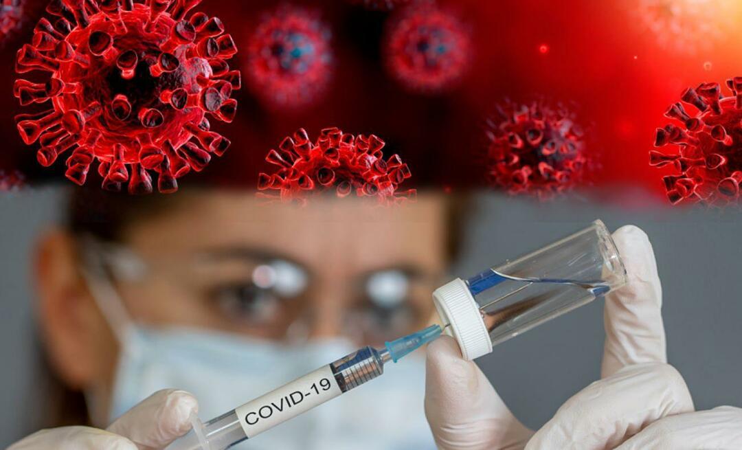 Kuuluuko ihmisten oikeuksiin olla rokottamatta epidemioita tauteja vastaan? Uskontoasioiden presidentti ilmoitti