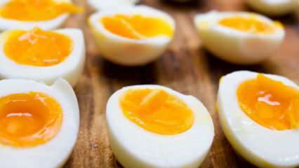 Kuinka keitetty muna säilytetään? Vinkkejä ihanteelliseen munan keittämiseen