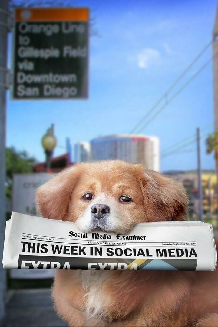 sosiaalisen median tutkija viikoittain 16. tammikuuta 2016