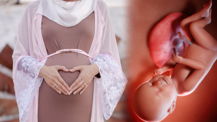 Luettavat rukoukset vauvan terveyden ja raskauden muistojen pitämiseksi
