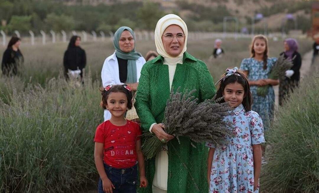 Ensimmäinen nainen Erdoğan vieraili ekologisessa kylässä ja poimi laventelia Ankarassa