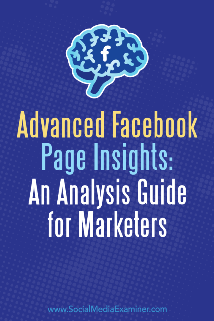 Advanced Facebook Page Insights: Analyysiopas markkinoijille: Sosiaalisen median tutkija