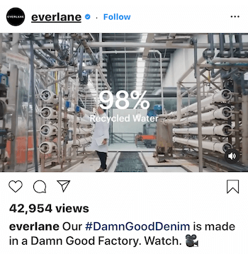 Instagram-videopostitus Everlaneille