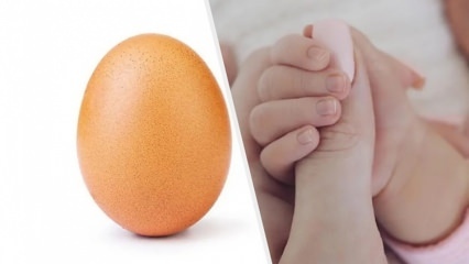 Ennätyksellinen muna, jolla on 28 miljoonaa tykkäystä
