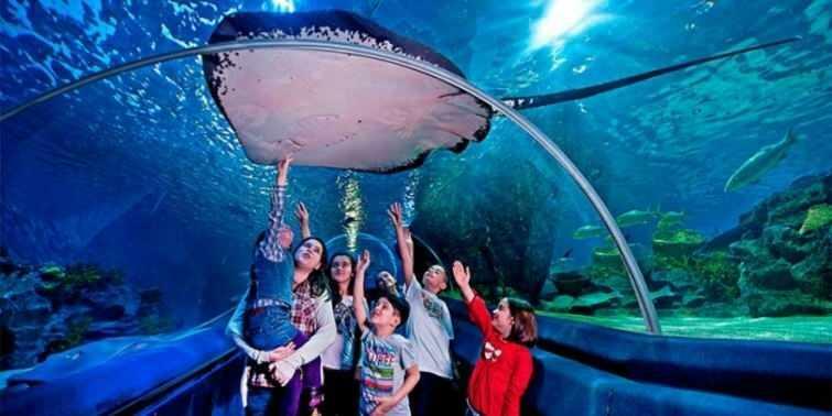  Kohtauksia Istanbulin Sea Life Aquariumista