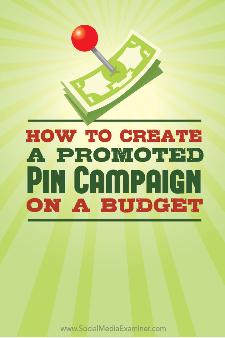 Kuinka luoda mainostettu PIN-kampanja budjetilla: sosiaalisen median tutkija