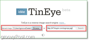 TinEye-näyttökuva - etsimäsi kuvaasi kopioita ja suurempia versioita