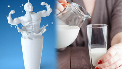 Vaimentaako maidon juominen ennen nukkumista? Pysyvä ja terveellinen laihtumiseen tarkoitettu maitovalmiste