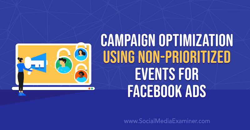 Kampanjan optimointi käyttämällä ei-priorisoituja tapahtumia Facebook-mainoksille, Anna Sonnenberg sosiaalisen median tutkijalla.