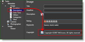 Microsoft Pro Photo Tools -valokuvaaja MetaData Auto Tekijänoikeudet:: groovyPost.com