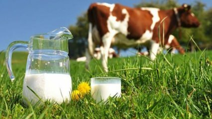 Mikä on maitoallergia? Milloin maitoallergia kulkee imeväisillä? Lehmänmaitoallergia ...