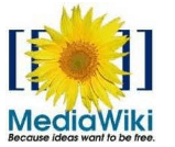MediaWiki-laajennus Microsoft Word 2010: lle ja 2007: lle
