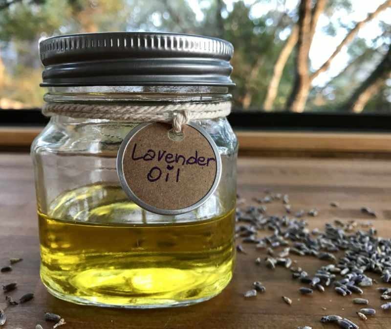 Kuinka laventeliöljy saadaan? Kuinka uuttaa laventeliöljyä kotona
