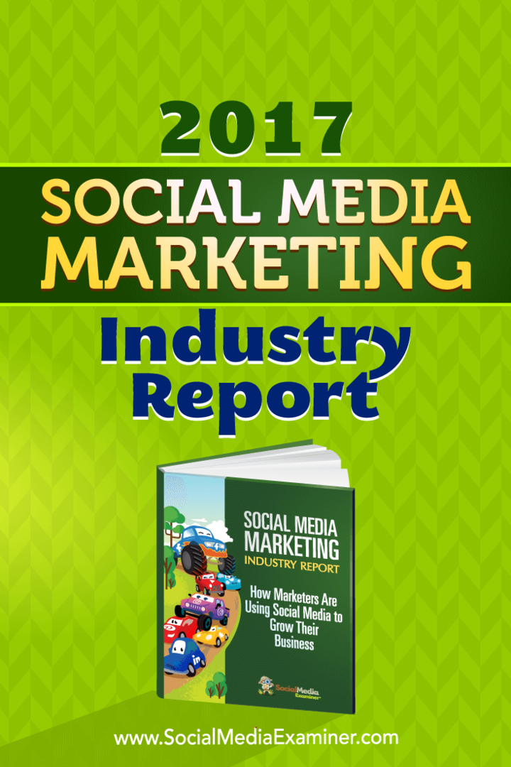 Mike Stelzner julkaisi vuoden 2017 sosiaalisen median markkinointialan raportin sosiaalisen median tutkijasta.