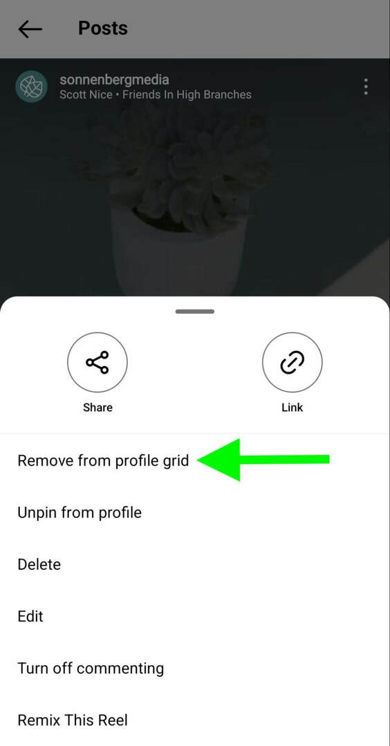 how-to-instagram-unpin-reels-profile-remove-grid-sonnenbergmedia-vaihe-4