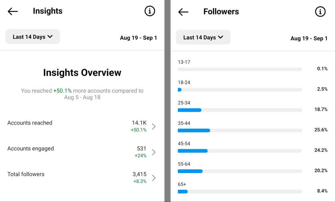 kuinka-to-check-yleisö-insights-on-instagram-app-overview-followers-example-3