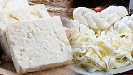 Kuinka ymmärtää hyvää juustoa? Vinkkejä juuston valitsemiseen