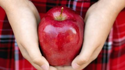 Kuinka mätää omenat arvioidaan? 