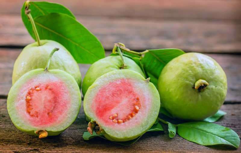 Sisältää voimakkaita antioksidantteja, kuten guavan-tomaatteja