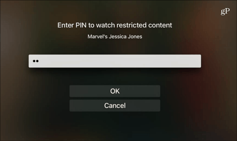 Netflix Anna PIN-katselurajoitettu sisältö