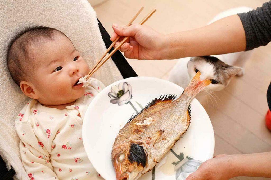 kalan syöttäminen vauvalle