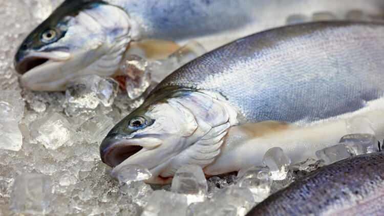 Muuttuuko pakastimeen heitetyn kalan maku?
