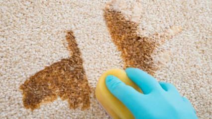 Kuinka tehdä matonpuhdistussumut kotona?