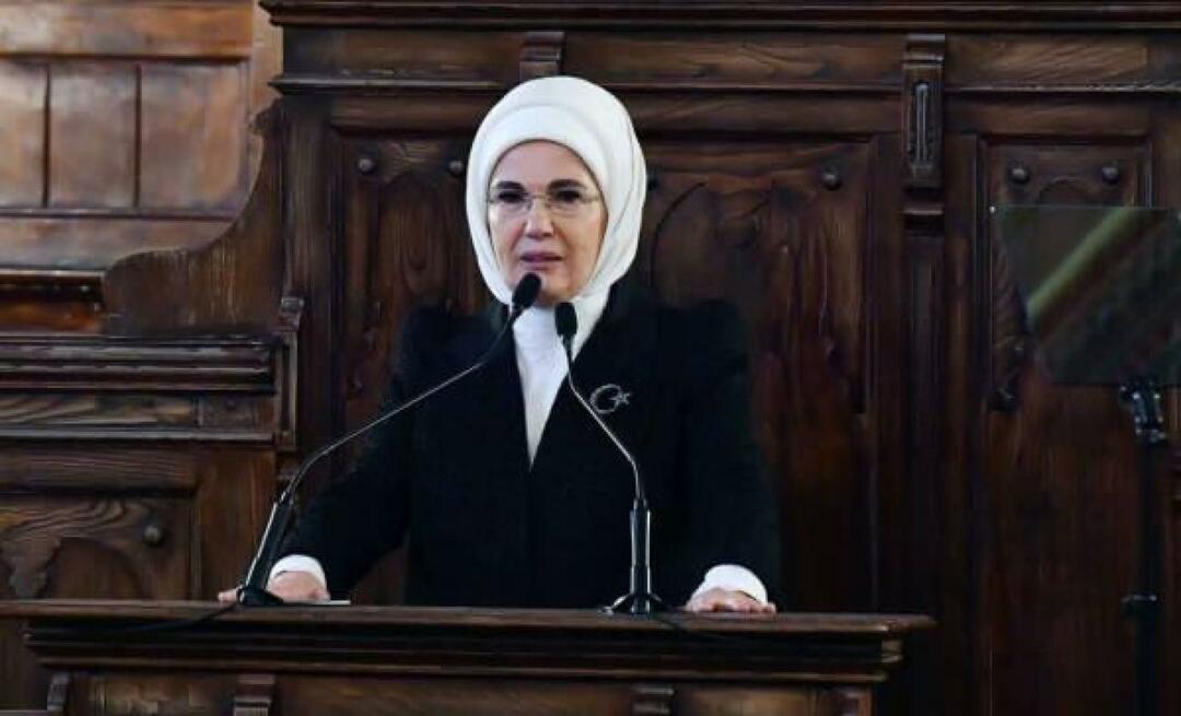 Emine Erdoğan tapasi Yhdysvaltain Ankaran-suurlähettilään vaimon Cheryl Flaken