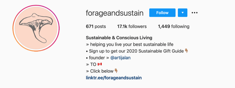 instagram-profiiliesimerkki osoitteesta @forageandsustain, jonka profiilitiedoissa on huomautus napsauttamalla biolinkkiä saadaksesi lisää