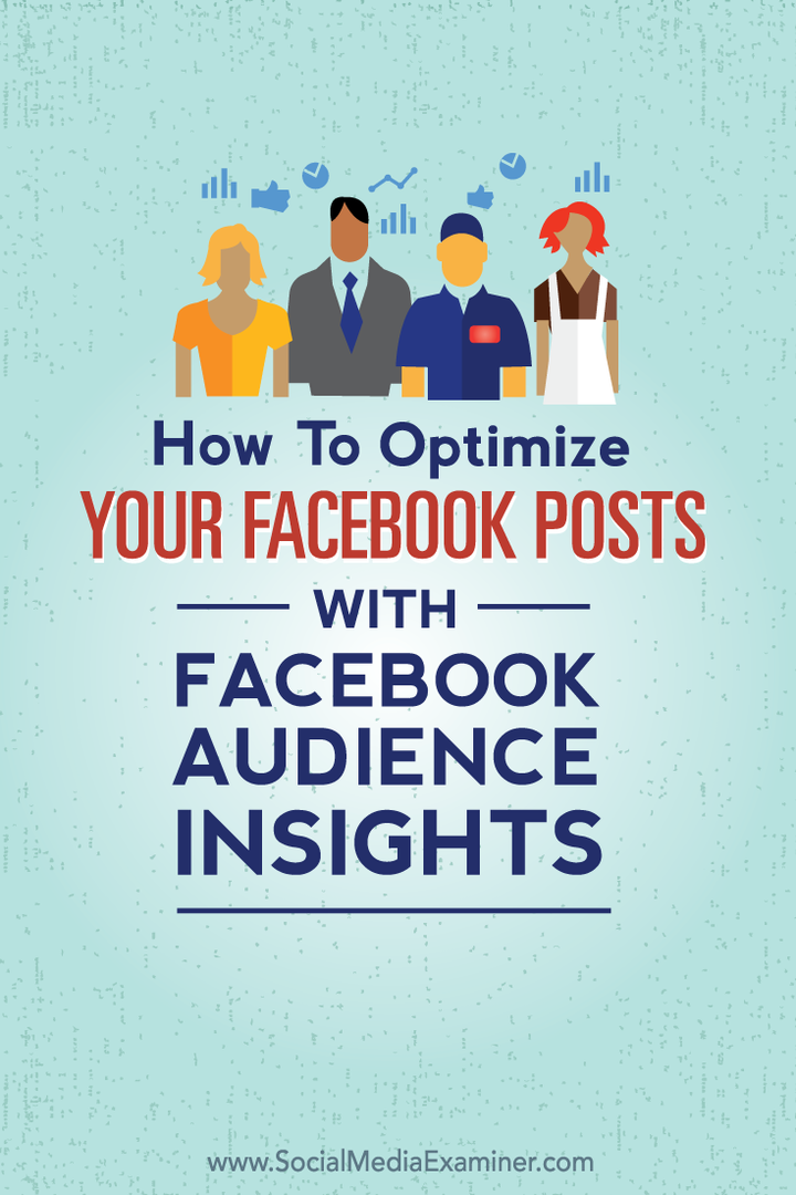 Kuinka optimoida Facebook-viestejäsi Facebook-yleisötietojen avulla: Sosiaalisen median tutkija