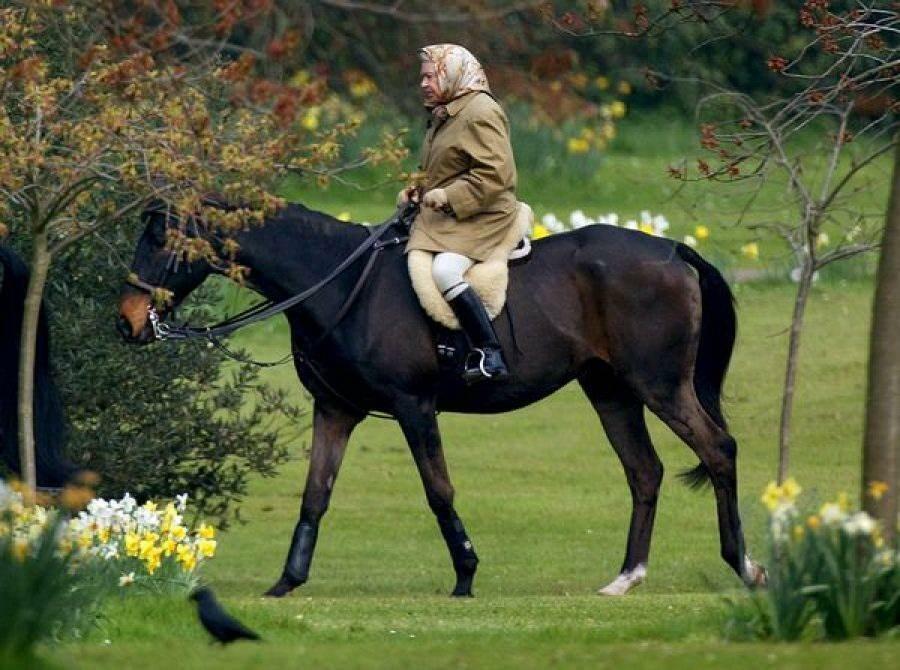 Kuningatar Elizabeth ratsastamassa 
