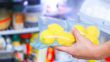 Kuinka säilyttää sitruunat jääkaapissa? Ehdotuksia, jotta sitruunasta ei muodostu homeen