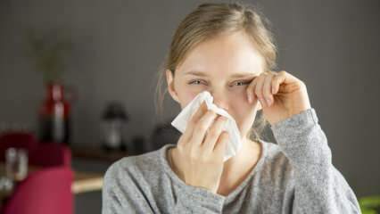Mikä aiheuttaa silmän kuumetta? Mitkä ovat silmän kuumeen oireet? Kuinka silmän kuumetta hoidetaan?
